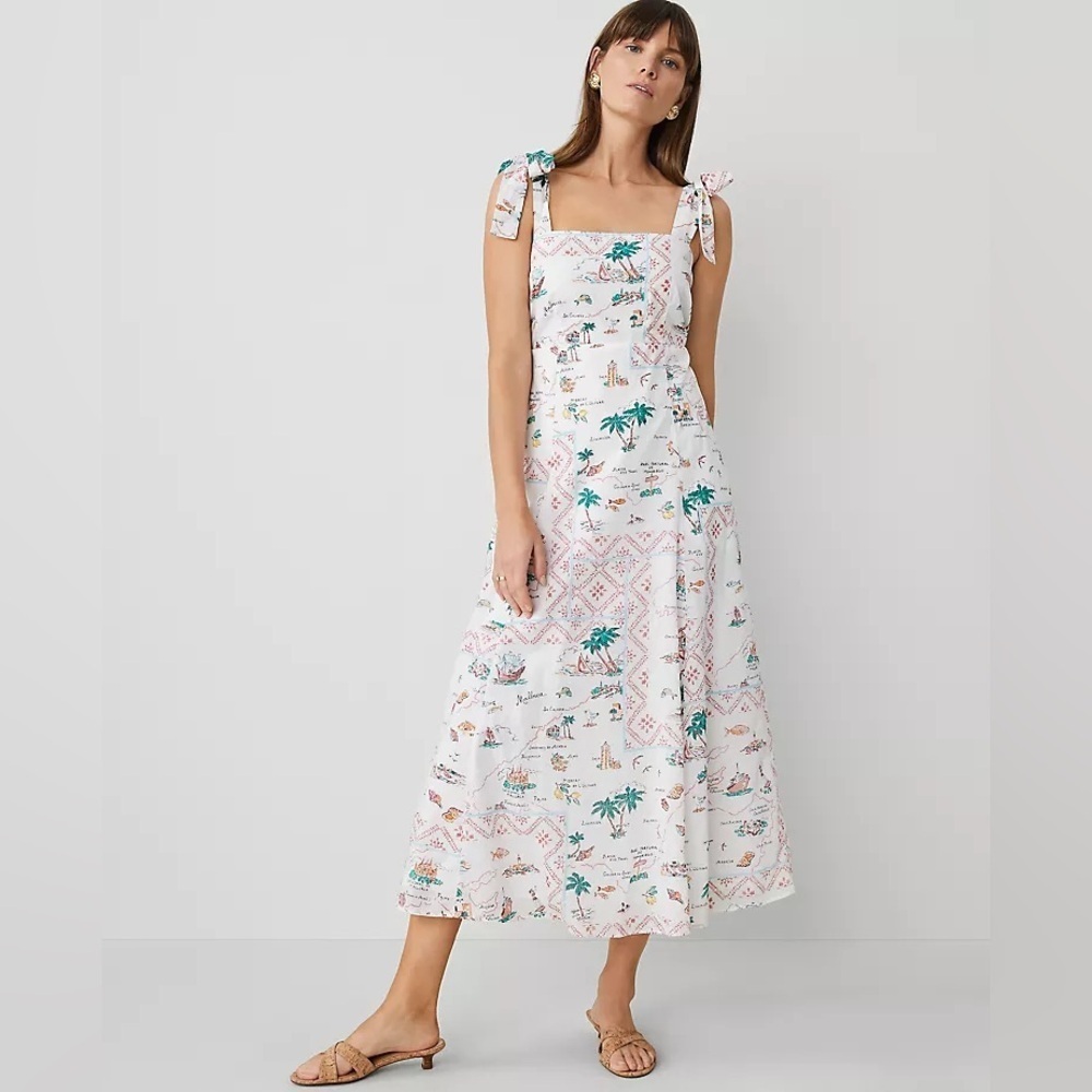 NWT Ann Taylor Map Print Flare Dress
